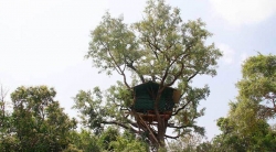 Chinnar tree house