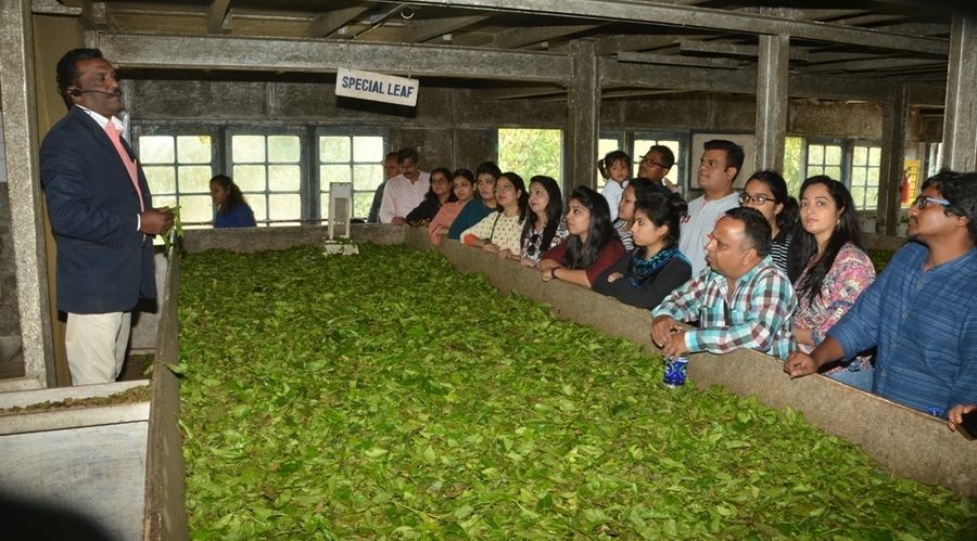 Munnar Tea Factory Visit (For Indians)