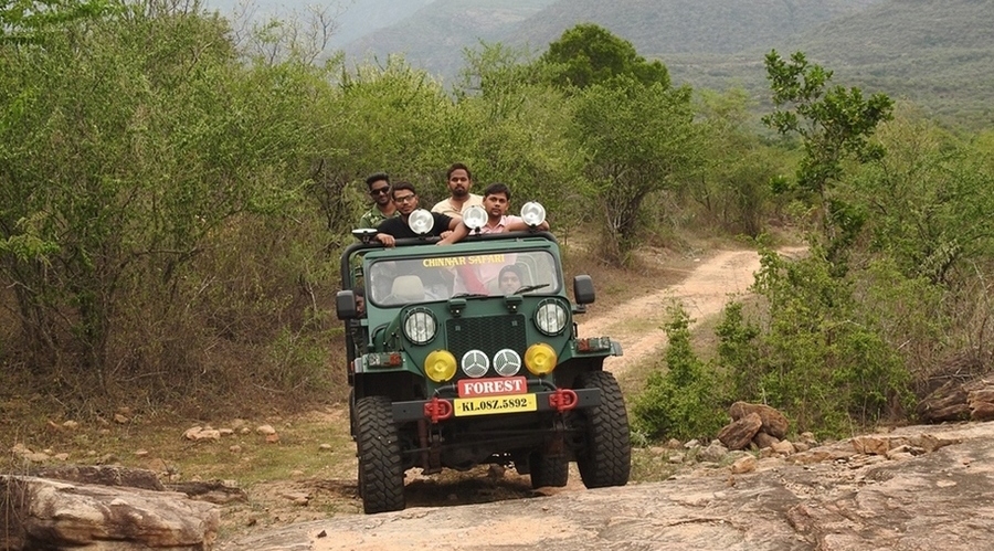 Marayur Heritage Safari