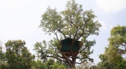 Chinnar tree house