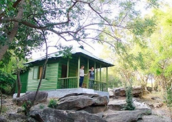 pambar log house