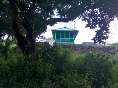 Kootar log house