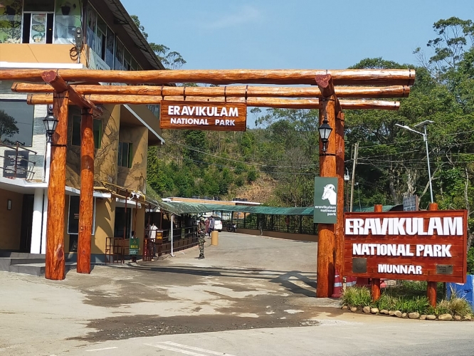 Eravikulam National Park (Rajamala)